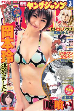 三叶草gy8566